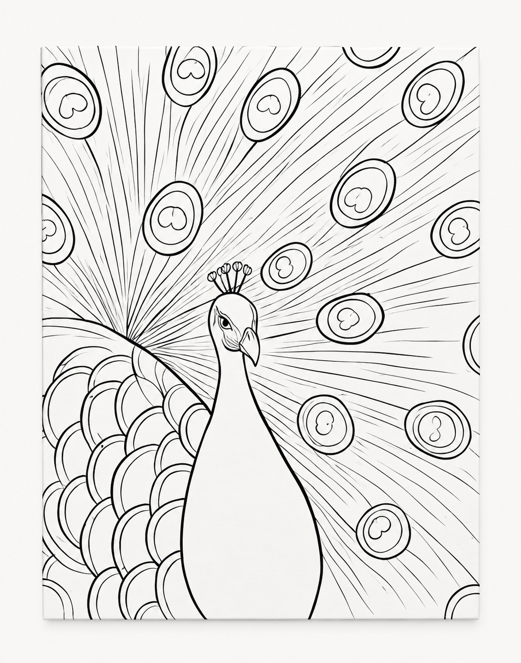 Peacock Fan pre-traced canvas line drawing