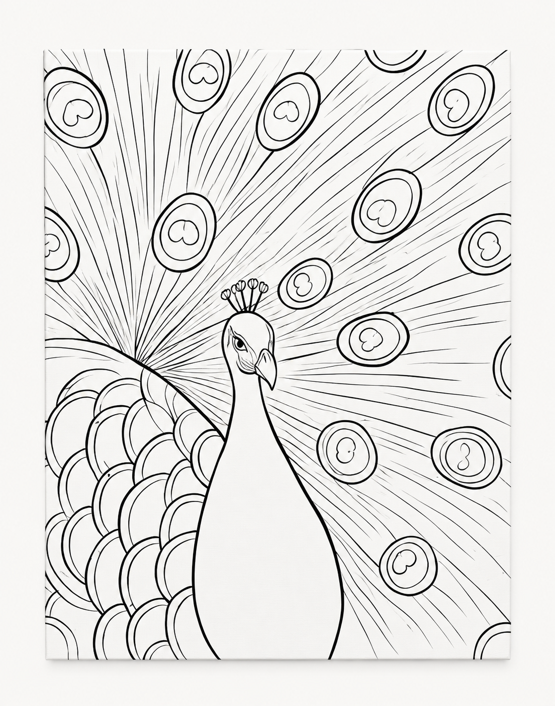 Peacock Fan pre-traced canvas line drawing