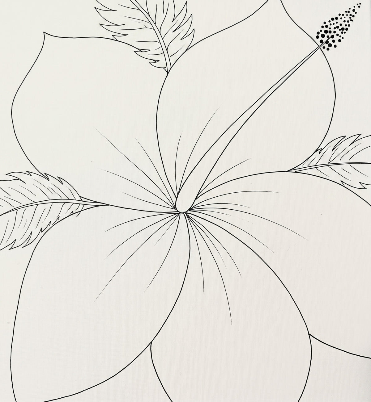Pink Hibiscus pre-traced canvas line drawing