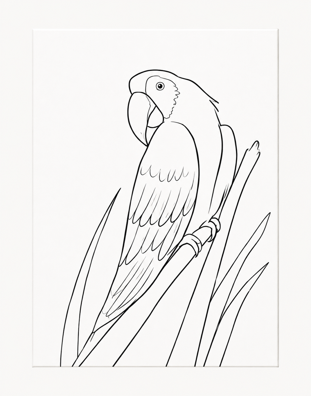 Tropical Parrot pre-traced canvas line drawing