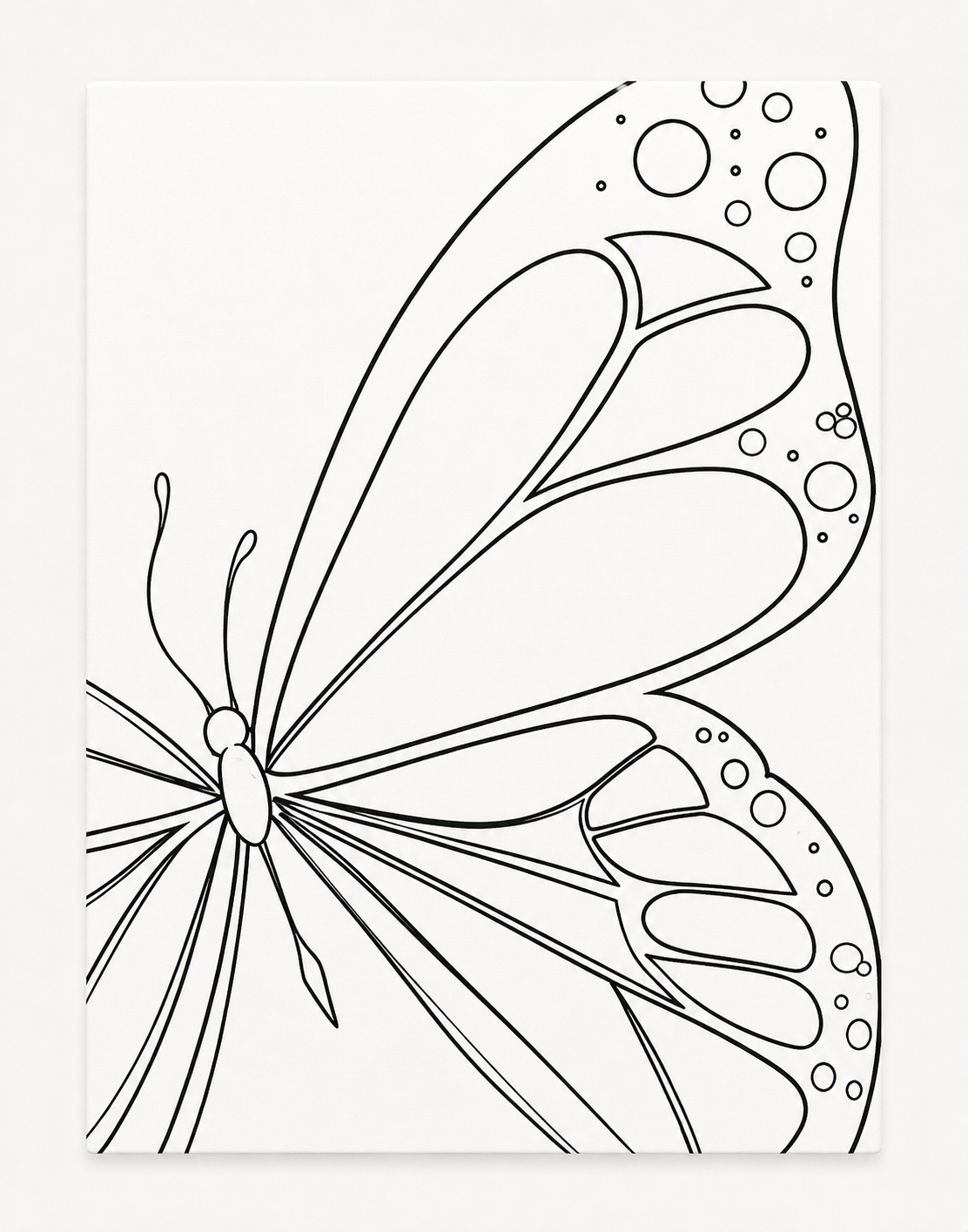 Turquoise Butterfly pre-traced canvas line drawing
